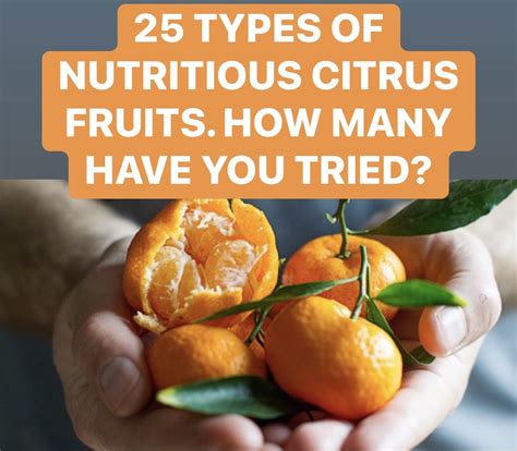 25 Types of Citrus Fruits and How to Us.